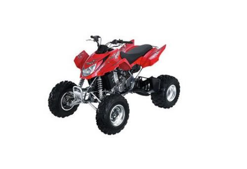 Arctic cat DVX 400