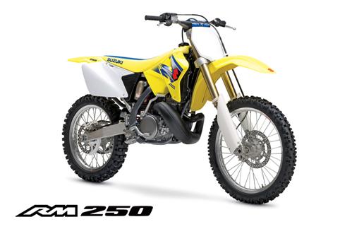 2006 Suzuki RM 250