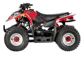 2006 Polaris Predator 50