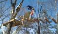 Sky Bridge