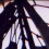 btn1 Screenshot - 5_23_2013 , 2_46_04 PM